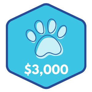 $3,000 