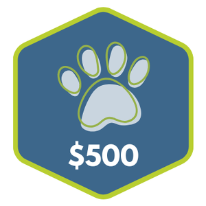 $500 