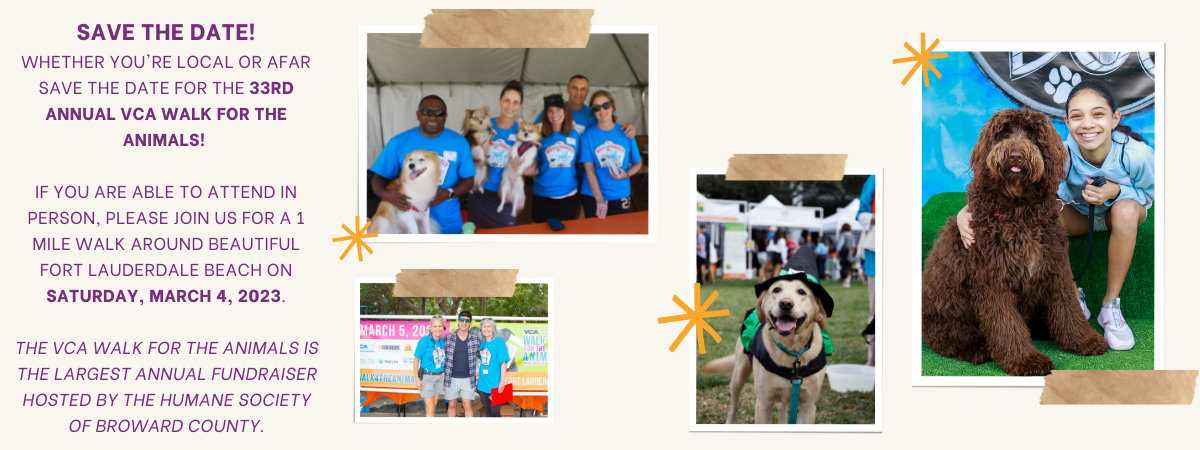 Meet the 2023 Cover Dog, Sparty! (10).png