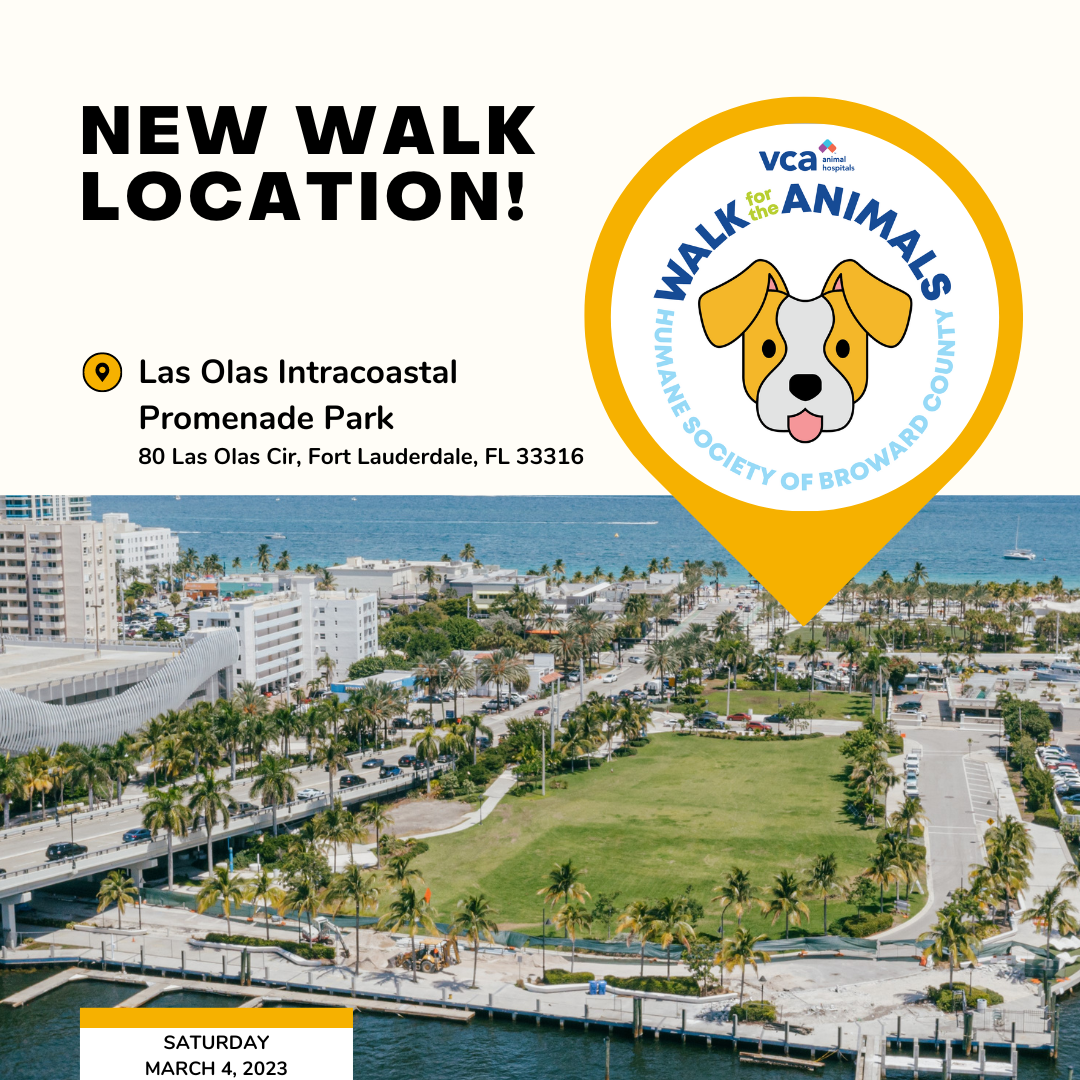 New Walk Location Graphic (1).png